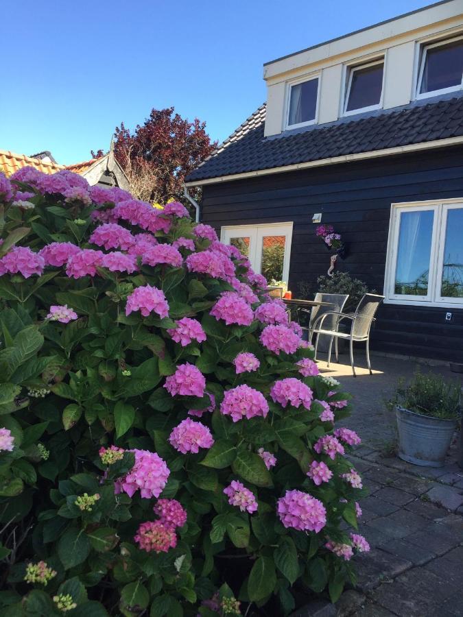 T Huuske Tuinappartement Met Fantastisch Uitzicht, Nabij Zee Zonnemaire Exterior photo